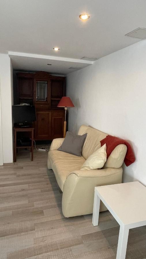 Appartment Basel サン・ルイ エクステリア 写真